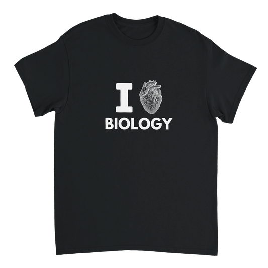 fce03af3-81ee-4534-bd45-7bdb4eeb5a42