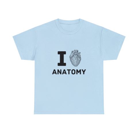 On a white background, a flat-lay image of a light blue T-shirt with 'I love anatomy' printed on it, with an anatomically accurate heart replacing the word 'love'.