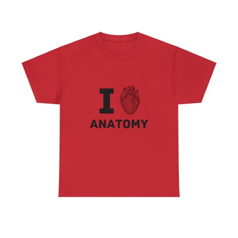 On a white background, a flat-lay image of a red T-shirt with 'I love anatomy' printed on it, with an anatomically accurate heart replacing the word 'love'.