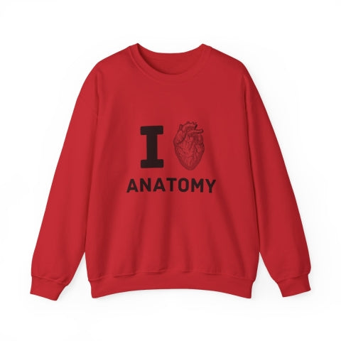 Anatomy Sweater | Free Shipping