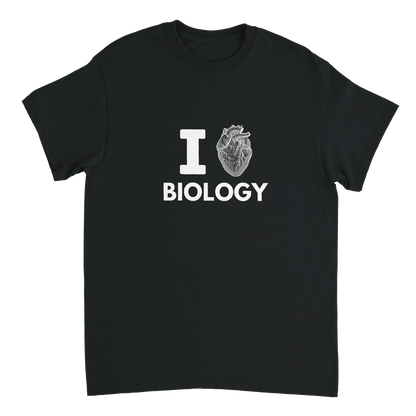 fce03af3-81ee-4534-bd45-7bdb4eeb5a42