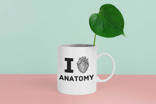 Human Anatomy Mug | Free Shipping