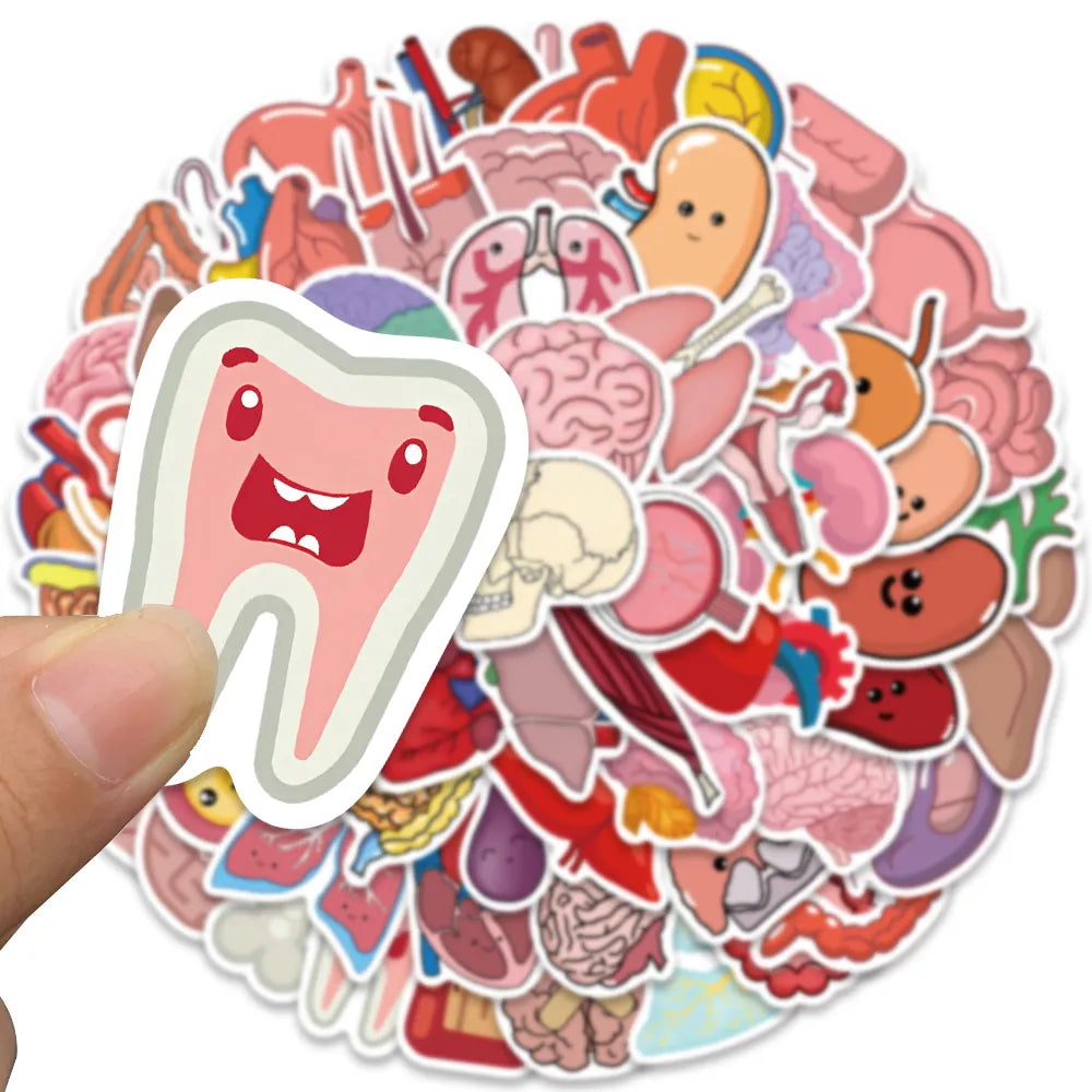 Organ Stickers 65 Pack | Free Shipping