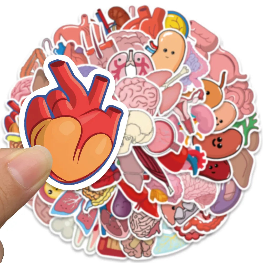 Organ Stickers 65 Pack | Free Shipping