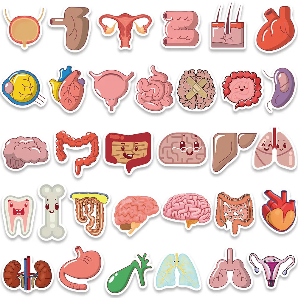 Organ Stickers 65 Pack | Free Shipping