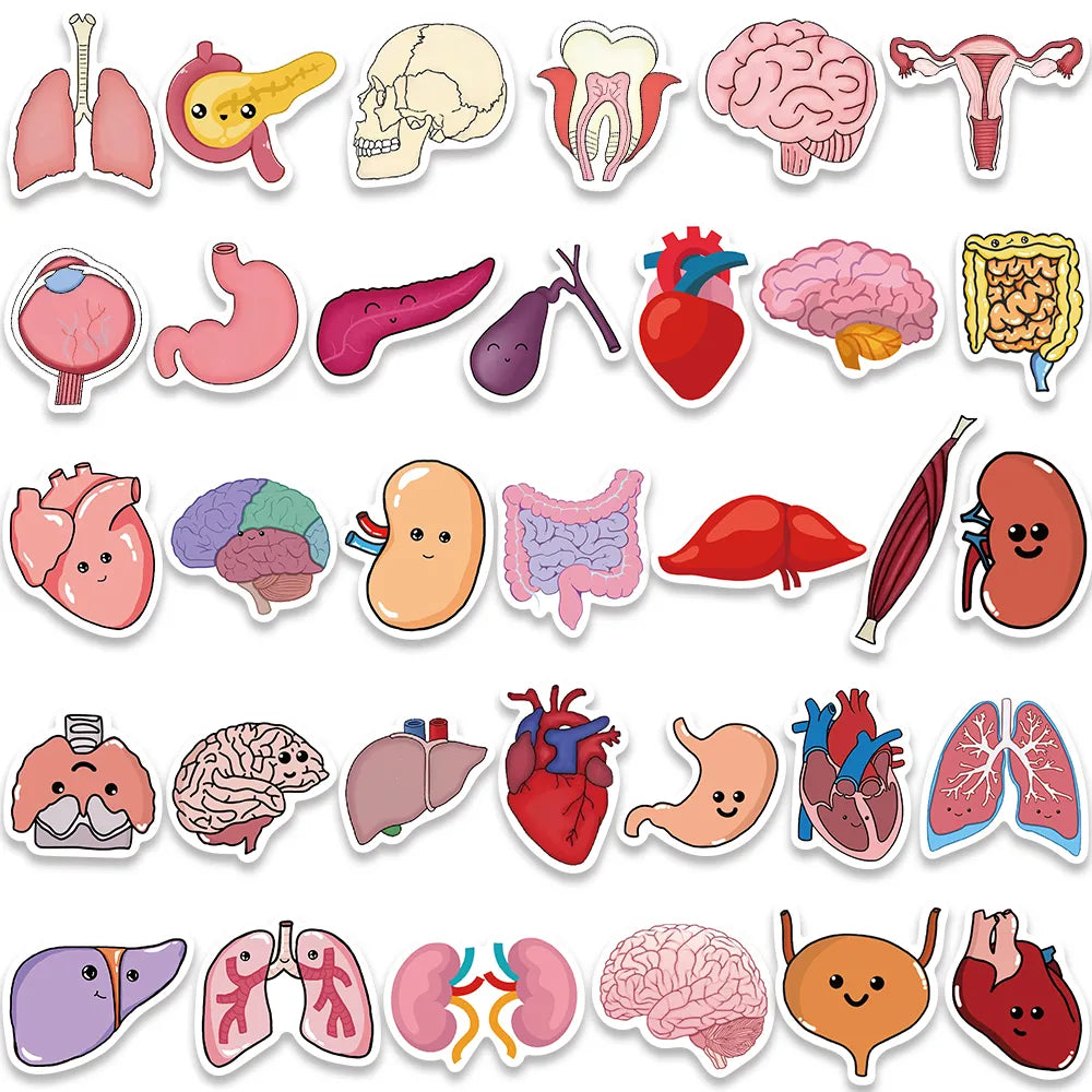 Organ Stickers 65 Pack | Free Shipping