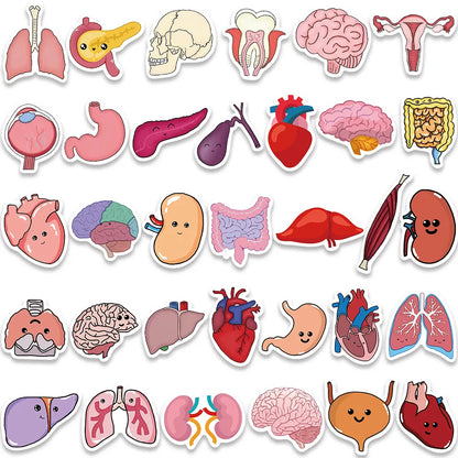 Organ Stickers 65 Pack | Free Shipping