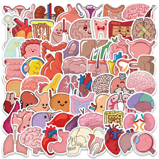 Organ Stickers 65 Pack | Free Shipping