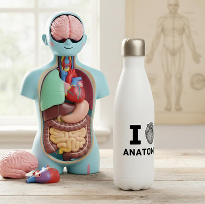 Anatomy Water Bottle